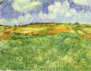 Vincent Van Gogh Plain Near Auvers France oil painting artist